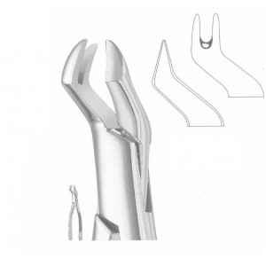 HI-50-1031